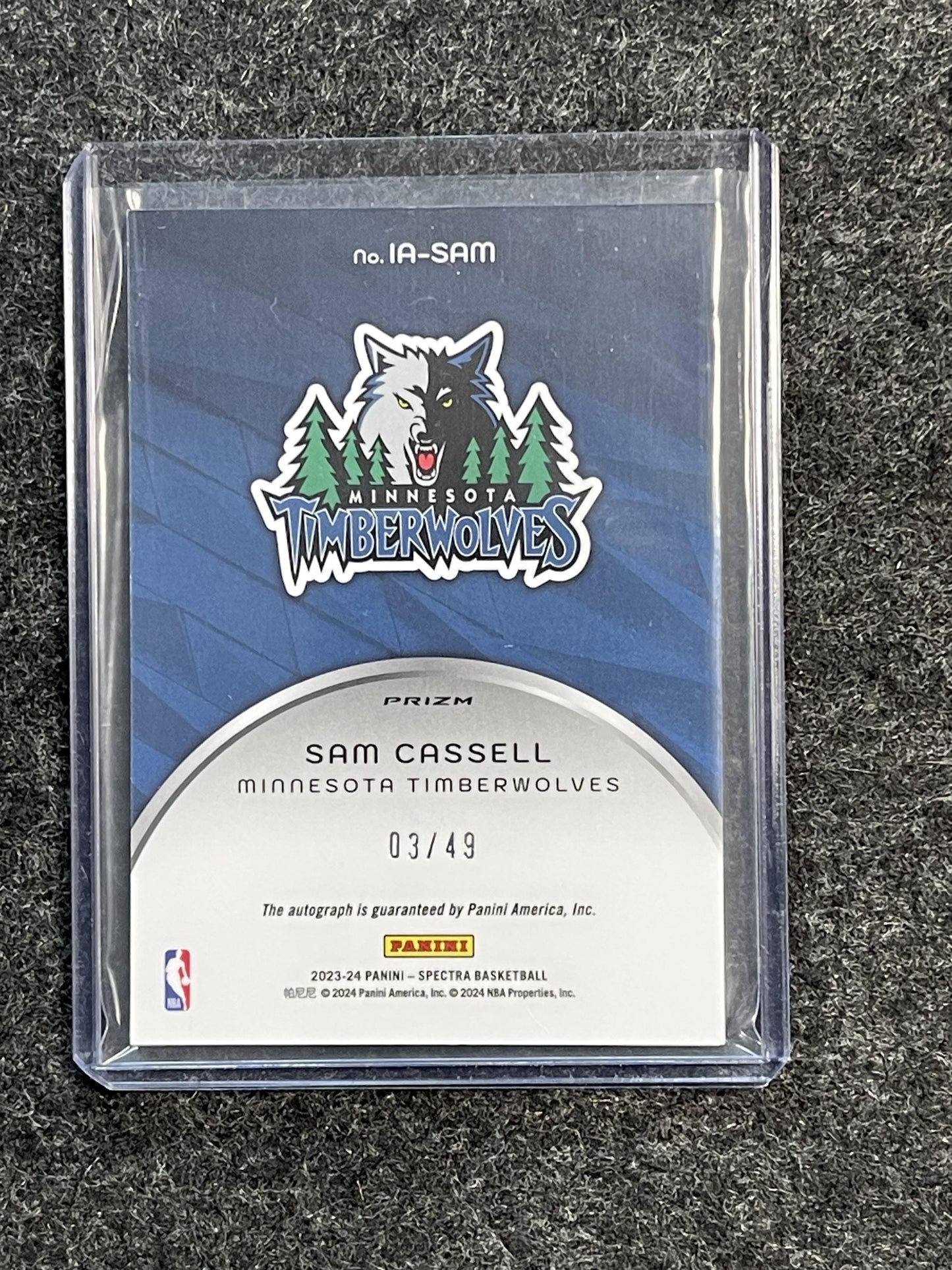 2023-24 Panini Spectra #IA-SAM Sam Cassell Icons Autographs Astral #/49